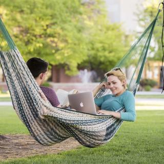 Students in a hammock in the spring