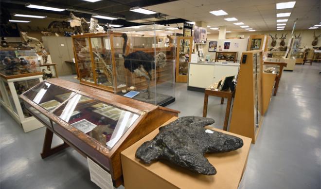 Orma J. Smith Museum of Natural History