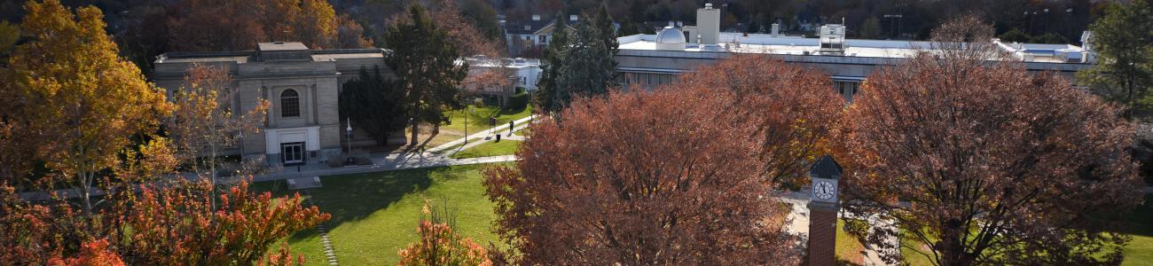 Campus from Sterry Roof