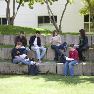 Students studying in the amphitheater