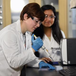Students prepare wet samples in lab