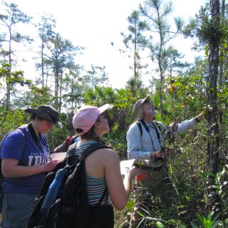 Biology students studying a tree in the field