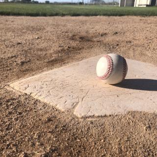 Baseball on the Plate