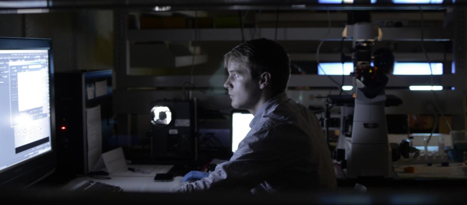 Student using a computer for research