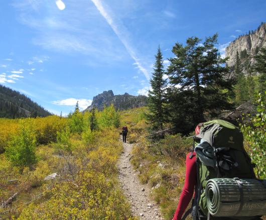 Students on a trail