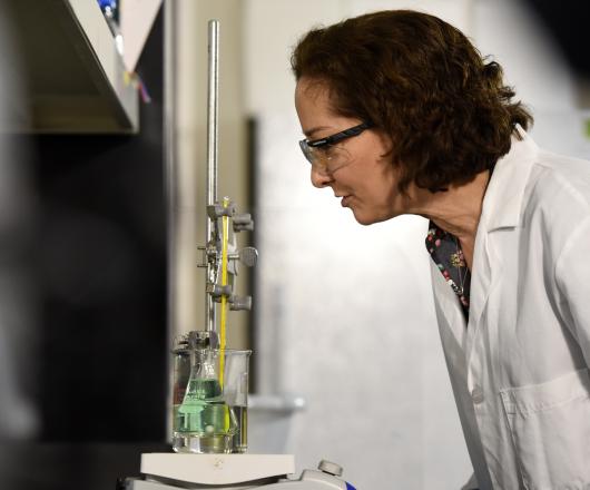 Professor reads a laboratory measurement in a science lab