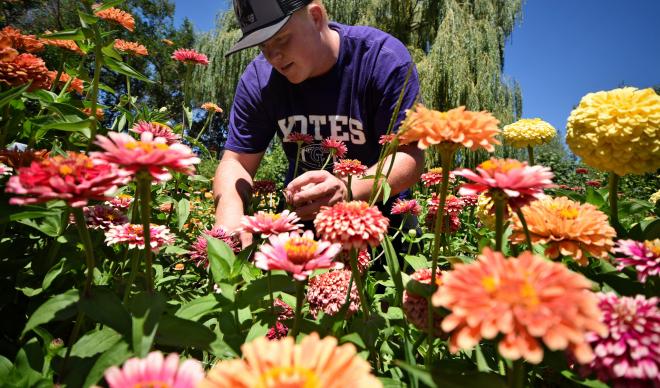 C of I football players deadhead flowers at the Leaning Barn Farm in Parma, Idaho.