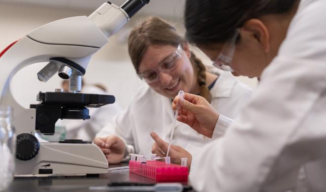 Students working in a lab 