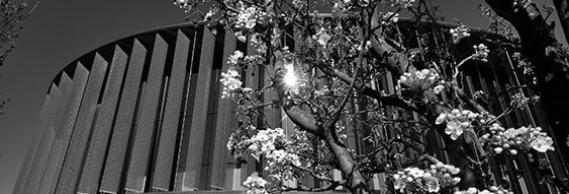 Cruzen Murray Library