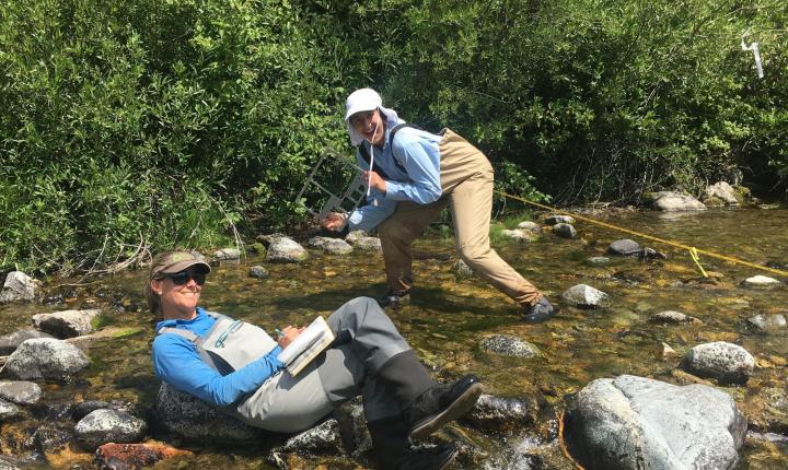 Professor and students doing field research