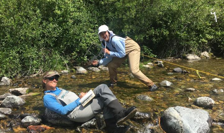 Professor and students doing field research