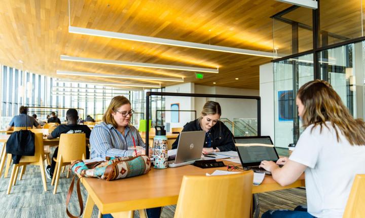 students studying in the library