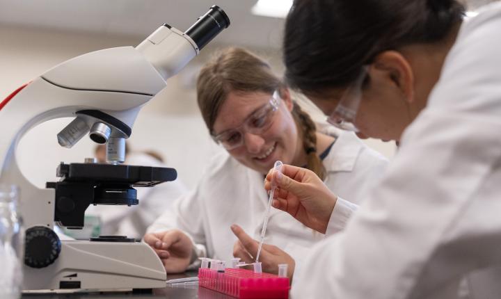 Students working in a lab 