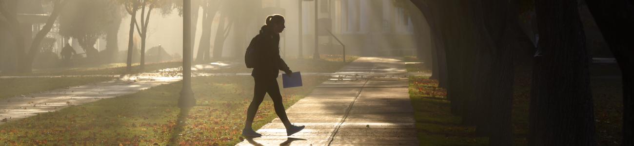 Students Walking