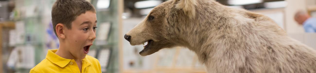 Boy surprised by taxidermy bear