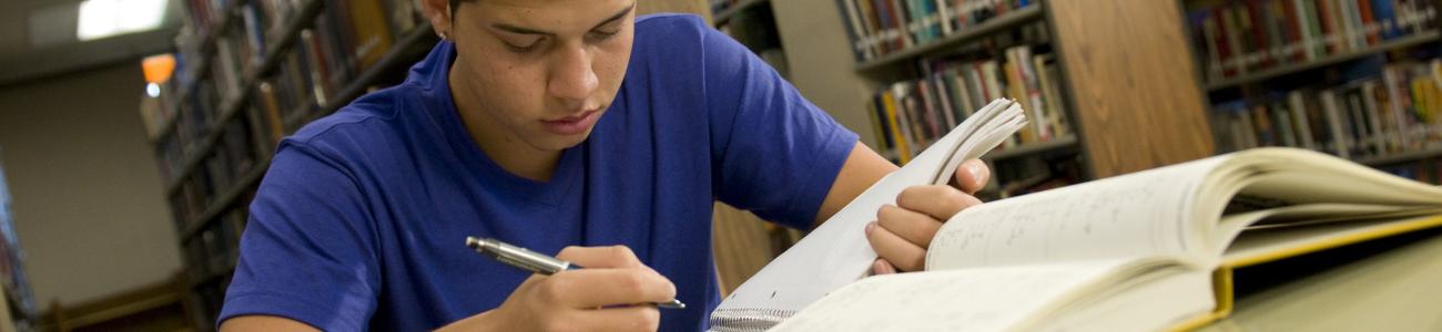 library dissertation in sociology topics examples