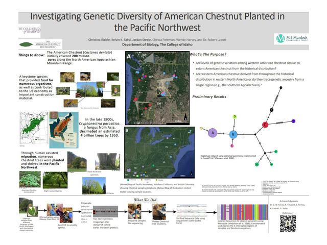 Chestnut Research Poster