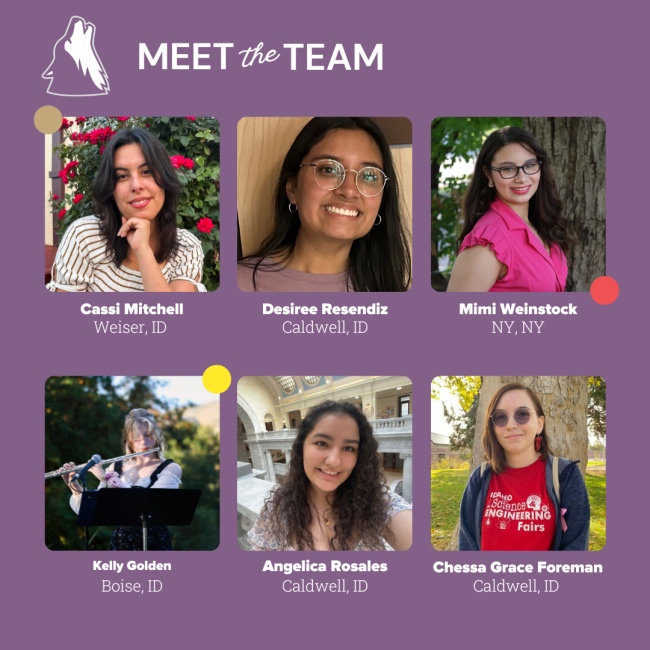 Meet the Team