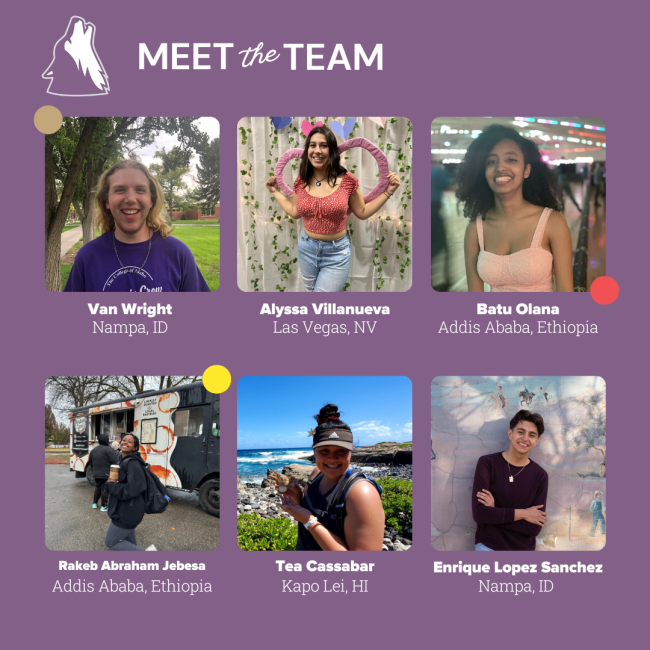 Meet the Team