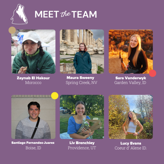 Meet the Team