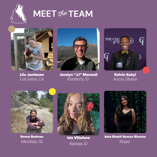 Meet the Team